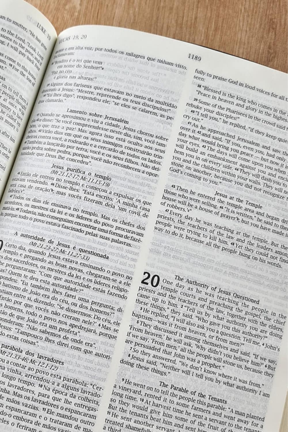 Bíblia Sagrada - Holy Bible | Português e Inglês | NVI Letra Normal | Pink - Imagem 2