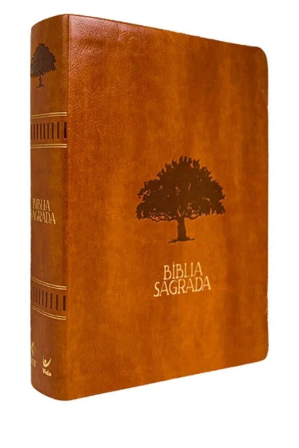 Bíblia Sagrada Mulheres | Viviane Martinello | NVT |Capa Luxo Marrom - Imagem 2
